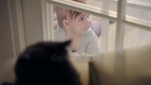 蓝色的眼睛和金发碧眼的女婴照顾猫 英国猫在前景 — 图库视频影像