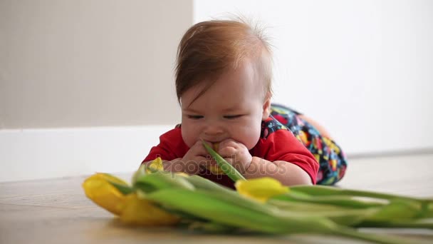 赤ちゃんの青い目とブロンドの髪を持つ少女の花で遊んで チューリップを食べるしようとして — ストック動画