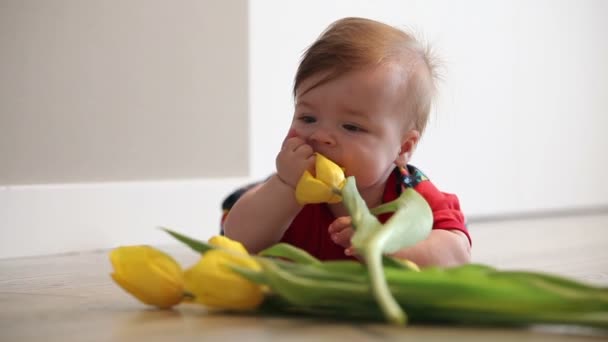 Baby Girl Kék Szeme Szőke Haj Játszik Virágok Próbál Enni — Stock videók