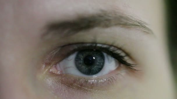 Gros Plan Oeil Bleu Féminin Ouvert Sans Maquillage Lumière Allumée — Video