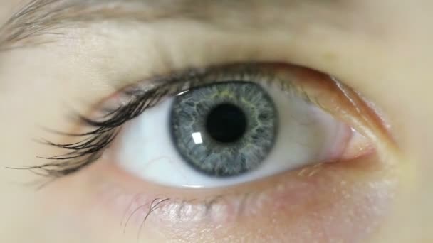 化粧をせず開いている女性青い目のクローズ アップ 点灯と消灯 — ストック動画