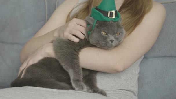 Primer Plano Mujer Acariciando Gato Sombrero Verde Cat Hat Celebra — Vídeos de Stock