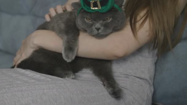 緑の帽子の女性なでる猫のクローズ アップ 猫帽子聖パトリックを祝う日 聖パトリックの日 イギリスの猫 — ストック動画