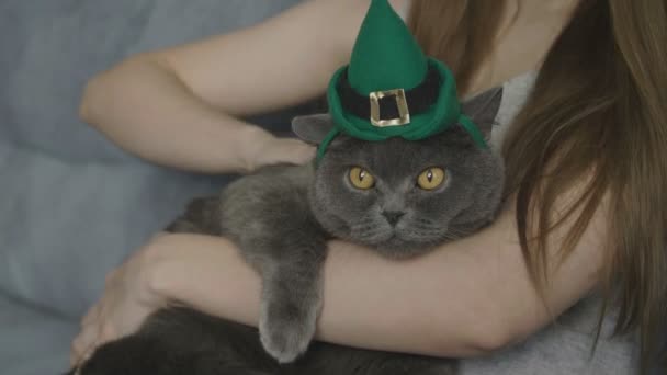 Primer Plano Mujer Acariciando Gato Sombrero Verde Cat Hat Celebra — Vídeos de Stock