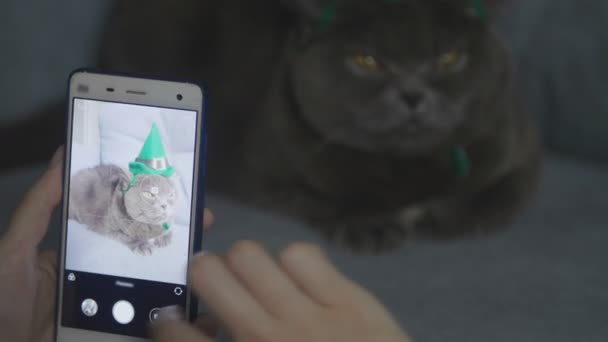 Макро Сфотографуватися Кішку Зеленому Капелюсі Телефоні Кіт Капелюсі Святкує Святого — стокове відео