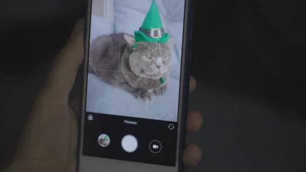 Detail Vyfotit Kočku Zeleném Klobouku Telefonu Kočka Klobouku Slaví Svatého — Stock video