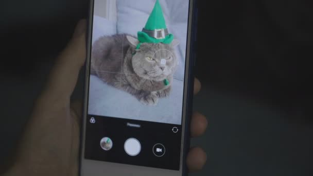 Close Tirar Uma Foto Gato Chapéu Verde Telefone Gato Chapéu — Vídeo de Stock