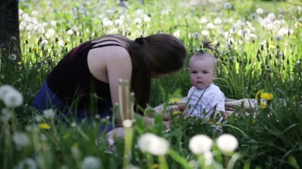 幸せな母とタンポポと草で遊んで笑顔の赤ちゃん女の子 女の赤ちゃん生後 夏の花背景 — ストック動画