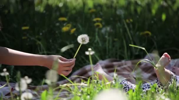 幸せな母とタンポポと草で遊んで笑顔の赤ちゃん女の子 女の赤ちゃん生後 夏の花背景 — ストック動画