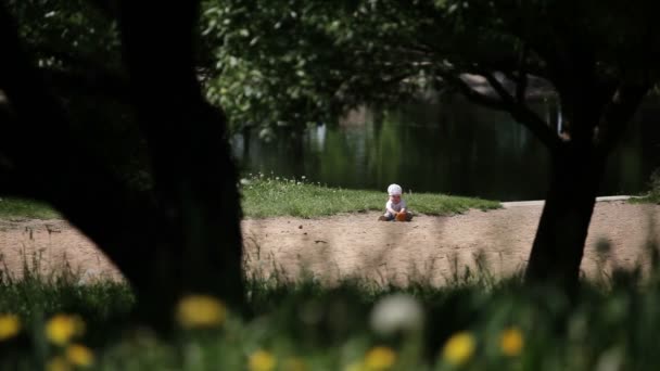 快乐的小女孩在湖边玩耍 用蒲公英在草丛中射击 女婴九月大 水背景 — 图库视频影像