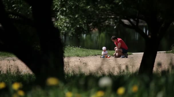 快乐的父亲和女婴在湖边玩耍 用蒲公英在草丛中射击 女婴九月大 水背景 — 图库视频影像