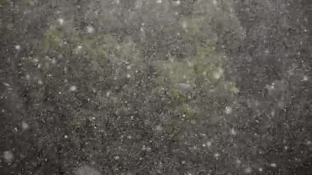 Starker Schneefall Ende Des Frühlings Grüne Bäume Hintergrund Schneesturm Frühling — Stockvideo