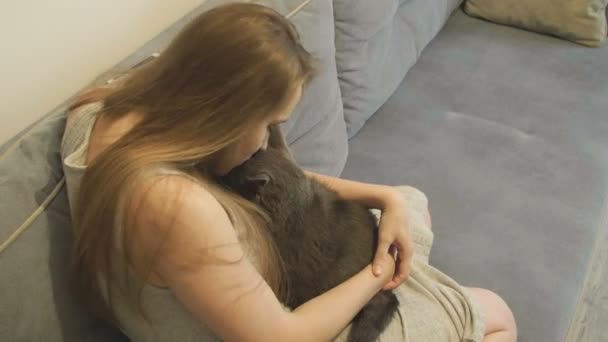 Une Femme Caressant Chat Allongé Sur Canapé Chat Britannique Femme — Video