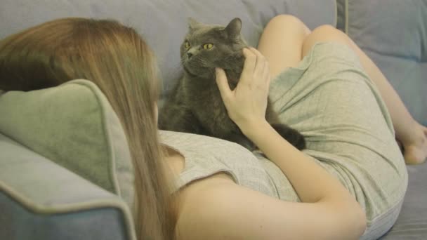 女人抚摸着一只猫躺在沙发上 英国猫 女人躺在房子里的软垫家具上 和猫玩耍 长头发的妇女 — 图库视频影像
