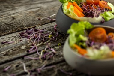 Turp salatası hazırlama filizlenir, carott, yeşil salata, domates