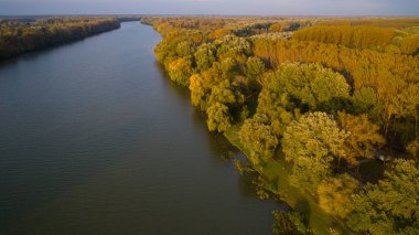 Tisza Nehri, Macarca olarak sonbahar orman üzerinde