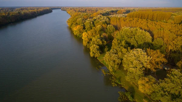 Tisza Fluss, auf ungarisch im Herbstwald lizenzfreie Stockfotos