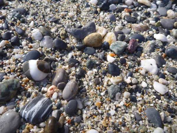 Detalj av små runda stenar på en strand — Stockfoto