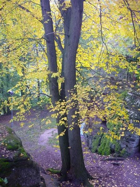 Bellissimo colorfull autunno in paradiso bohemien — Foto Stock