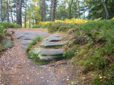 güzel renkler sonbahar bohem cennette