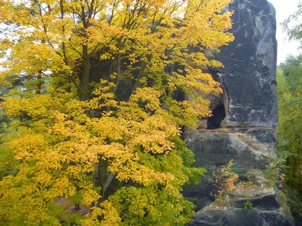 Красивая красочная осень в богемном раю — стоковое фото