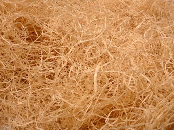 Natural dry straw texture detail — Stock Photo, Image