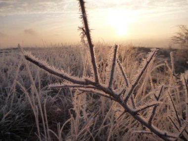 soğuk bir Kasım sabah güzel gündoğumu