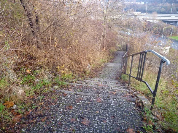 empty outdoor stairs with fallen autumn leaves