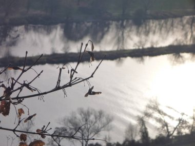 Prag'da vltava Nehri'nin havadan görünümü
