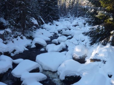 jizerske hory ridge Çek Cumhuriyeti'nde kışın