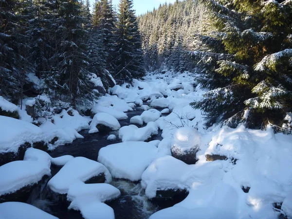 Vinter i jizerske hory ridge i Tjeckien — Stockfoto