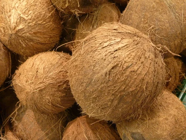 Detalj av en hela råa coco nut — Stockfoto