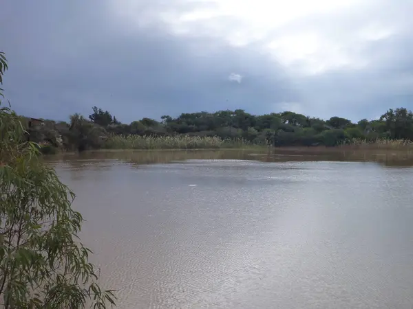 Lagoa tranquila com um watter marrom — Fotografia de Stock