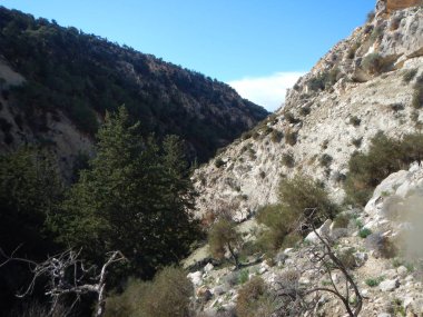 Avakas gorge Batı Kıbrıs