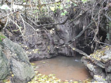 Kıbrıs'taki efsanevi Afrodit banyoları