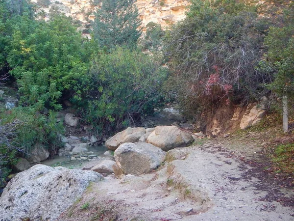 Avakas gorge i västra Cypern — Stockfoto