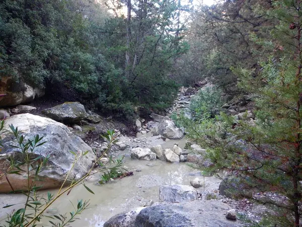 Gorge d'Avakas dans le cyprus occidental — Photo