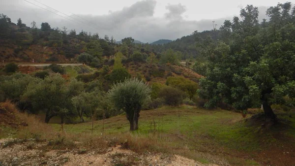 Paesaggio piovoso di montagne troodos — Foto Stock