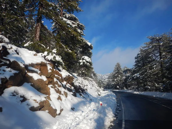 Montagnes de troodos enneigées à cyprus — Photo