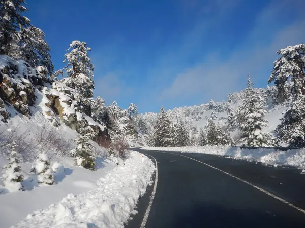 Kıbrıs'ta karlı troodos Dağları