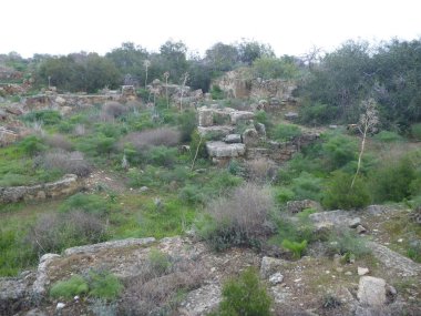 salamis antik Yunan Arkeolojik Sit 