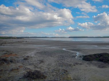 göç ile larnaka Tuz Gölü flamingolar