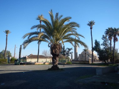 Hala sultan tekke Camii larnaka Tuz Gölü