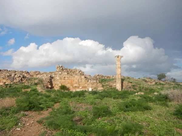 Давньогрецький археологічний сайт salamis — стокове фото