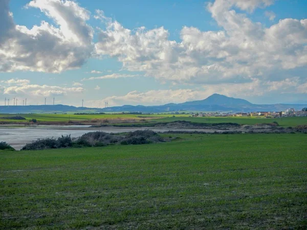 Larnaka Slané jezero s migrací plameňáci — Stock fotografie