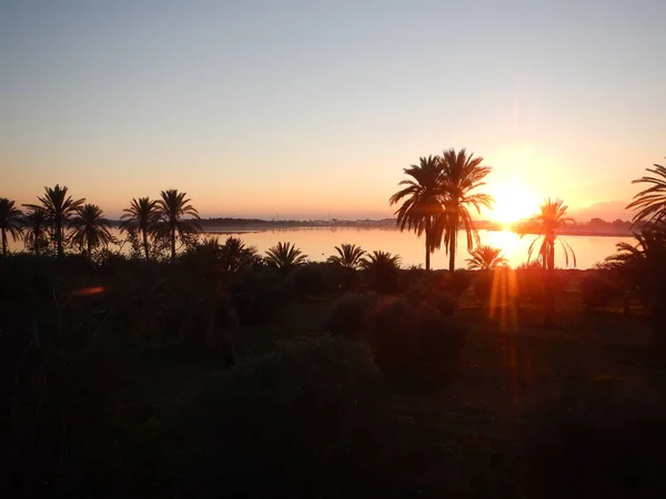 Salida del sol en el lago de sal Larnaka con palmeras — Foto de Stock