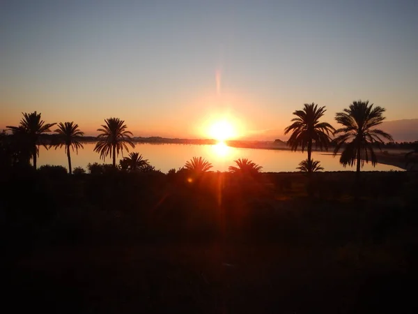 Salida del sol en el lago de sal Larnaka con palmeras — Foto de Stock