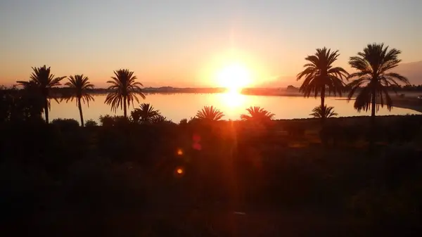 Salida del sol en el lago de sal Larnaka con palmeras — Foto de Stock