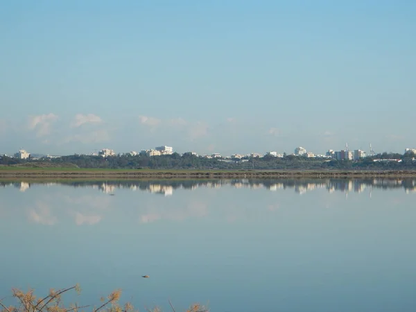 Larnaka Slané jezero s migrací plameňáci — Stock fotografie