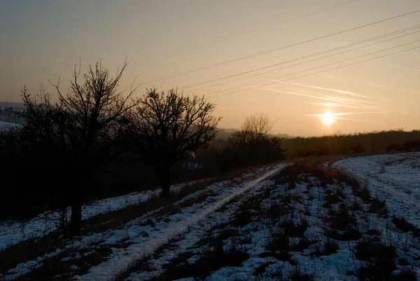 Зимняя сельская панорама с силуэтом дерева на закате — стоковое фото